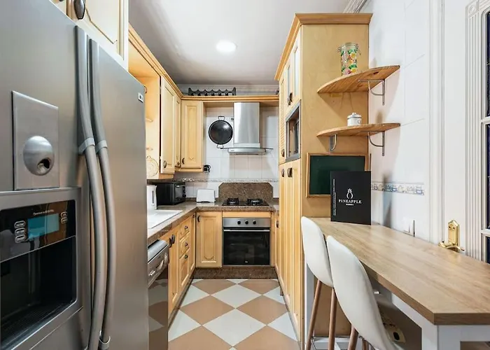 Pineapple Ollerias 27 Duplex With Great Terrace And Parking * Málaga