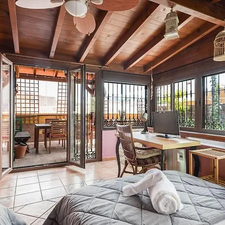 Pineapple Ollerias 27 Duplex With Great Terrace And Parking Apartment